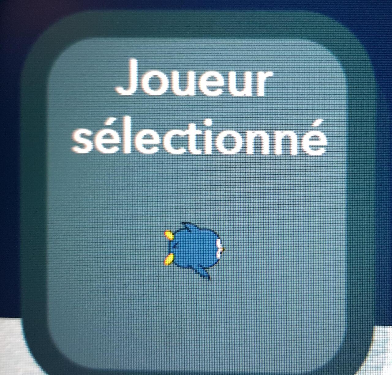jeux électonique des pingouins ténébreux